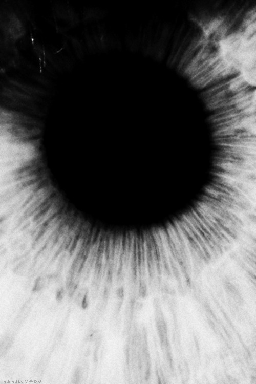 Archillect ID 31982