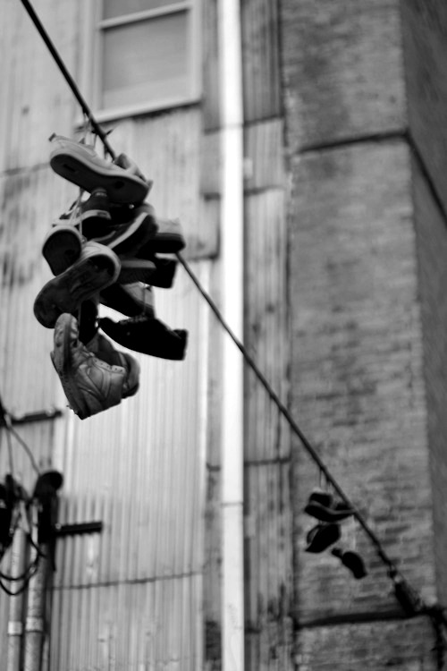 Archillect ID 31993