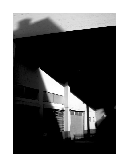 Archillect ID 32014