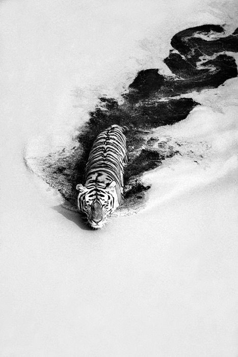 Archillect ID 32022