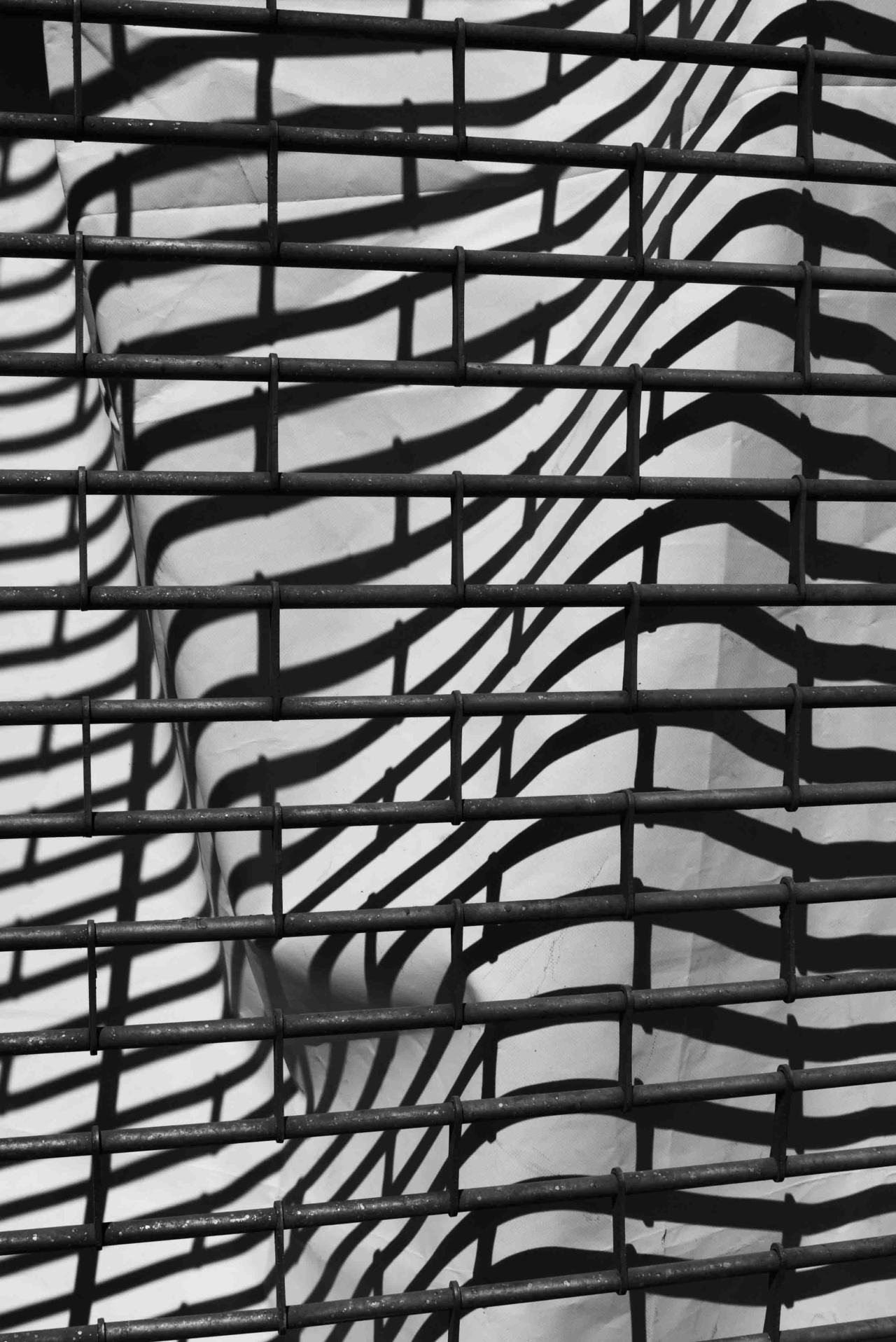Archillect ID 32139