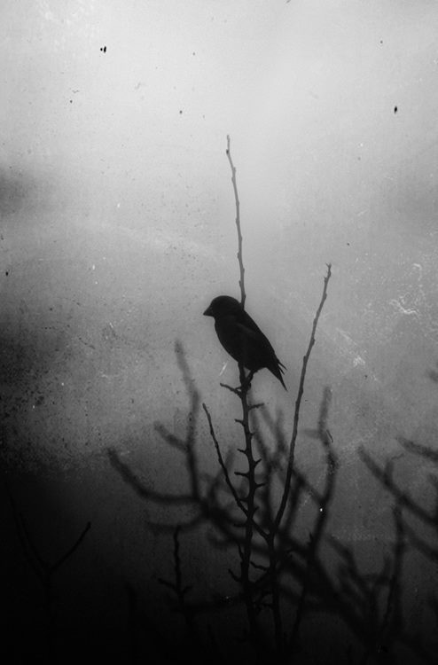 Archillect ID 32158