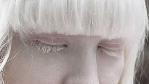 Archillect ID 32169