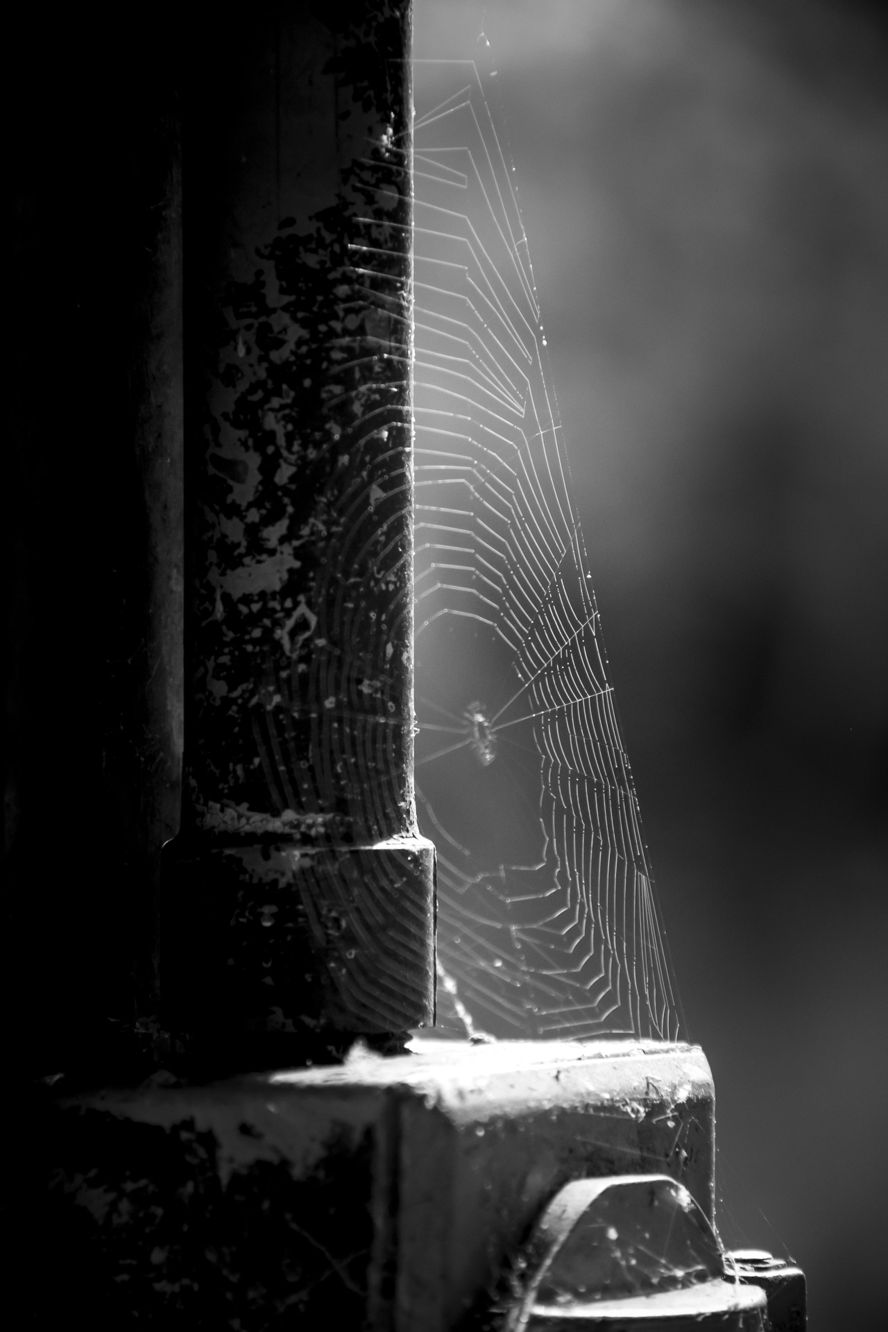 Archillect ID 32339