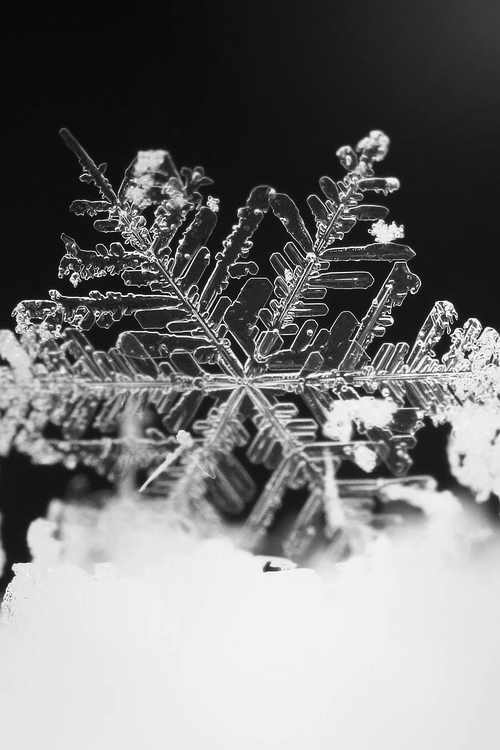 Archillect ID 32345