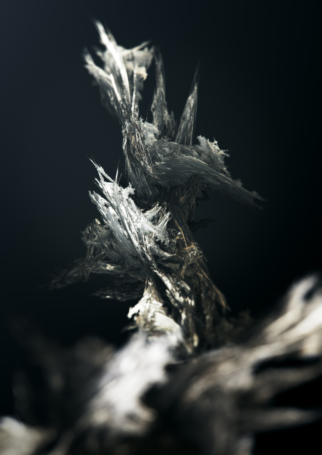 Archillect ID 32368
