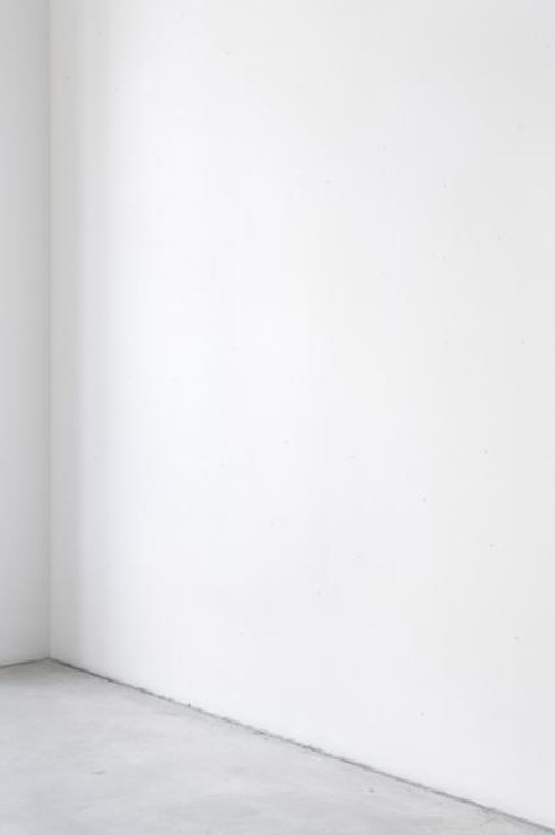 Archillect ID 32411