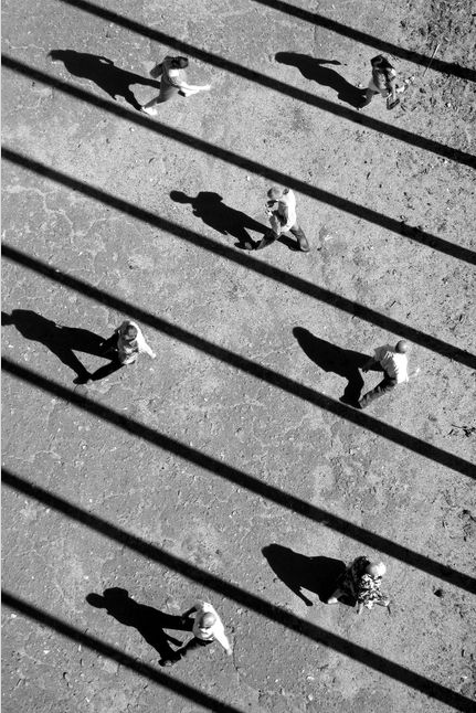 Archillect ID 32429