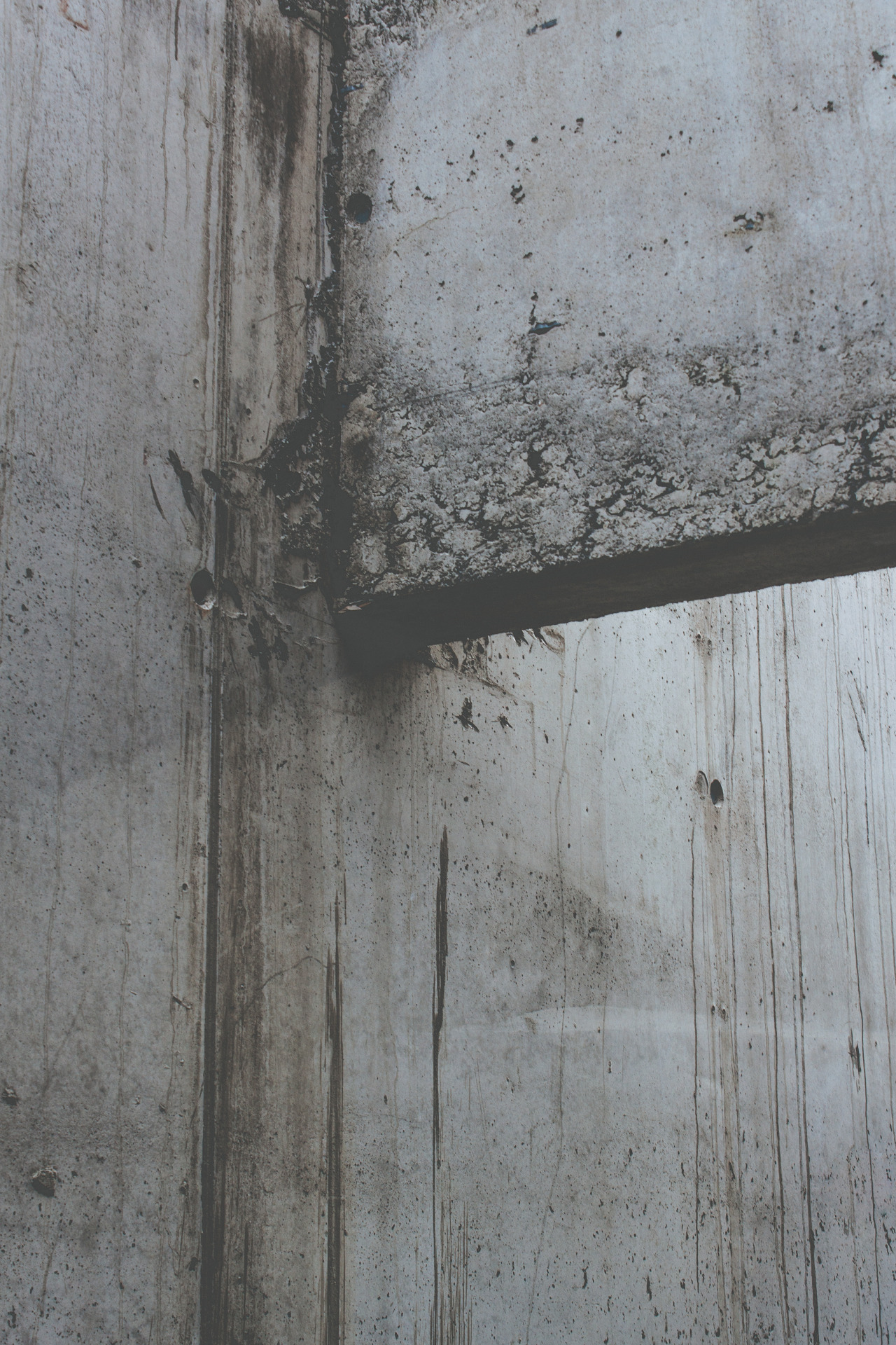 Archillect ID 32451