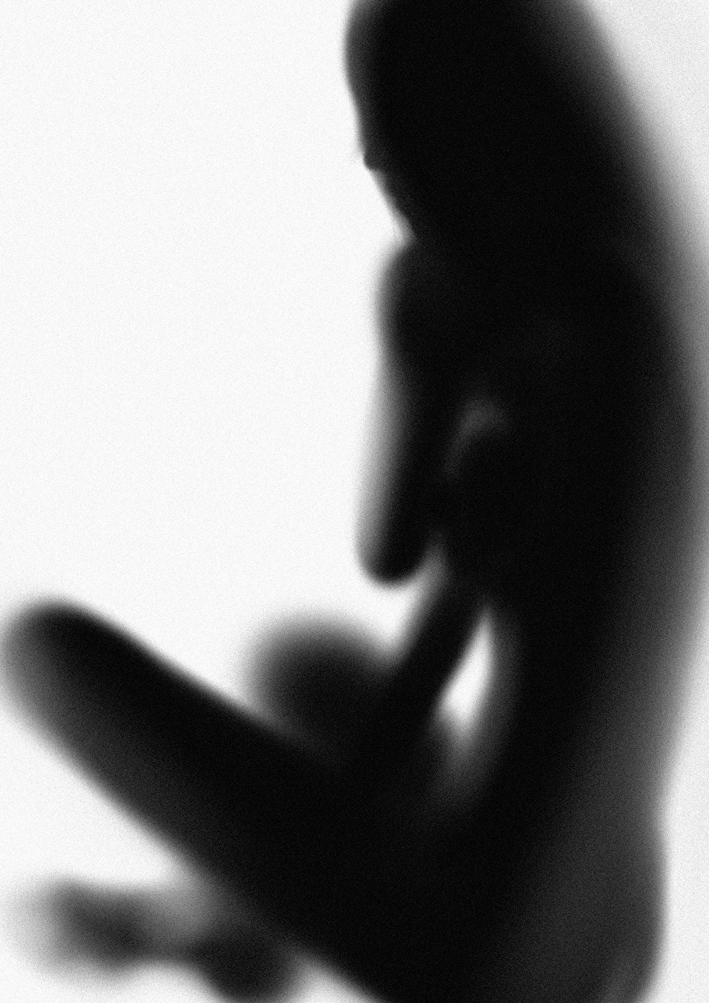 Archillect ID 32512