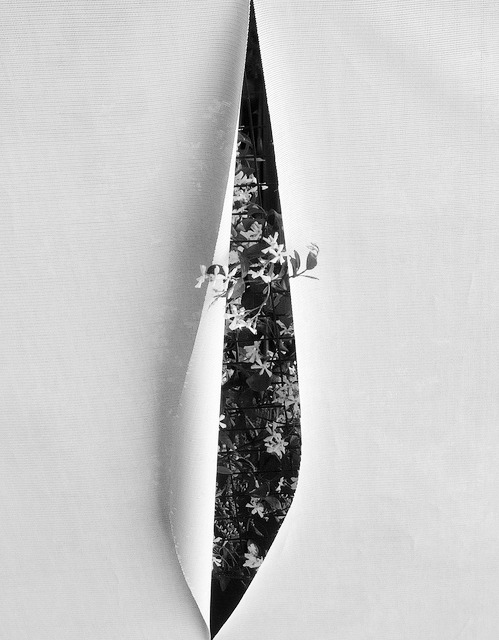 Archillect ID 32517
