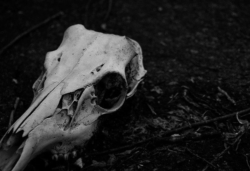 Archillect ID 32528