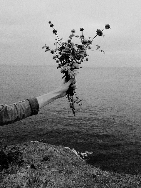 Archillect ID 32617