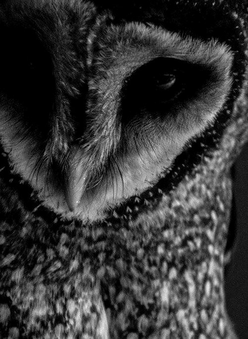 Archillect ID 32626