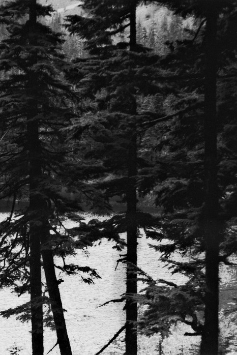 Archillect ID 32671