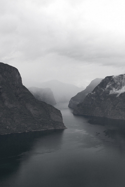 Archillect ID 32676