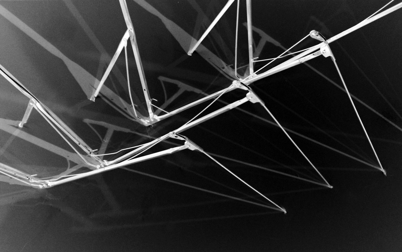 Archillect ID 32705