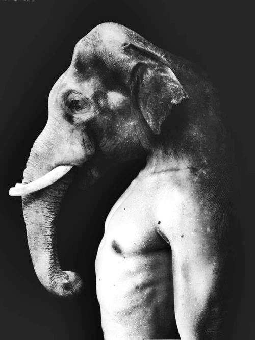 Archillect ID 32800
