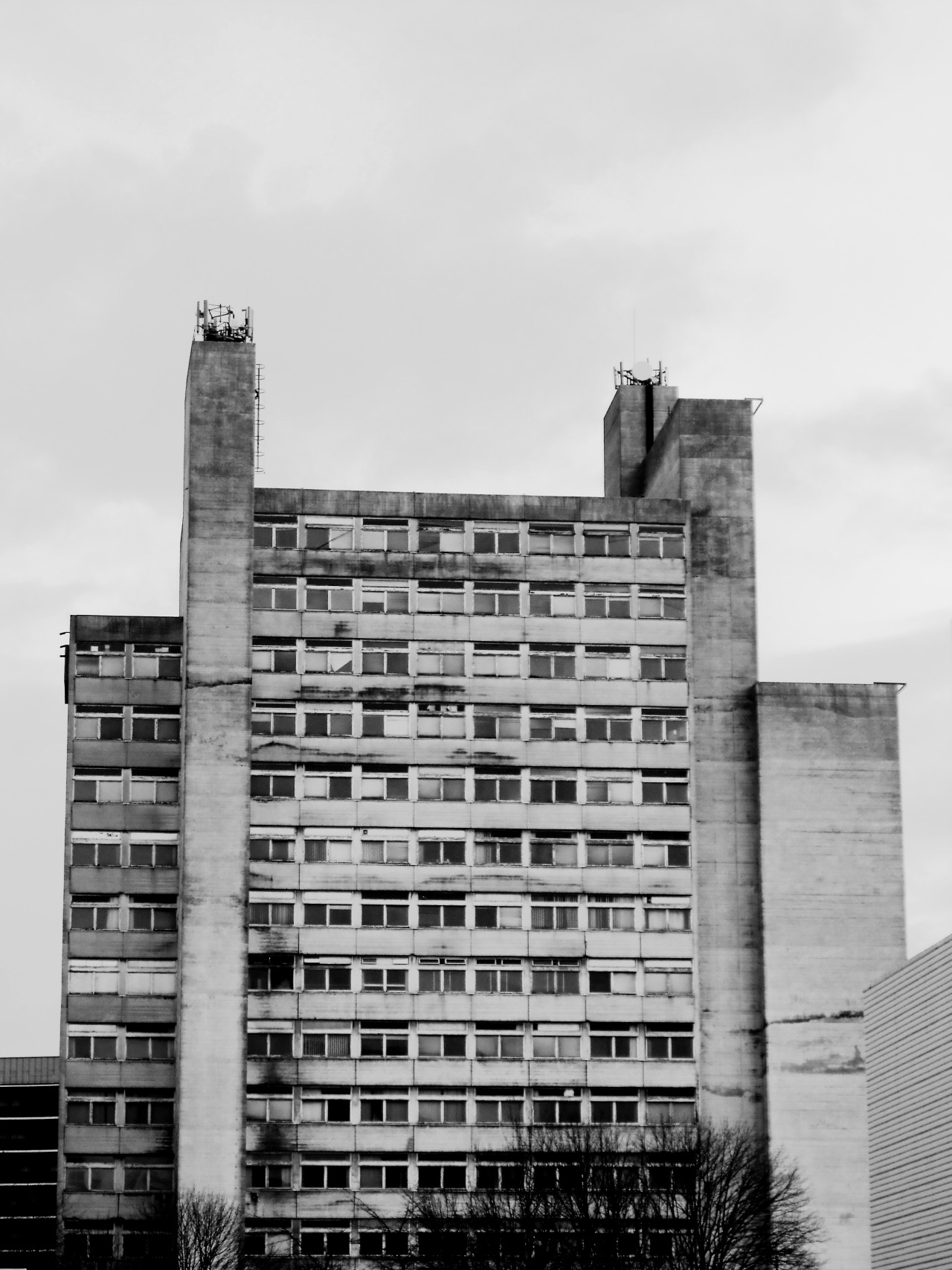 Archillect ID 32817