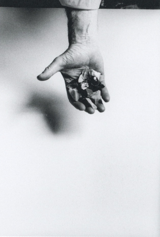 Archillect ID 32839
