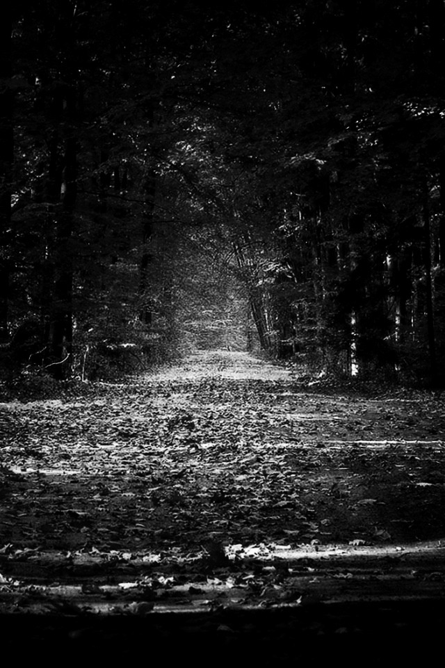 Archillect ID 32944