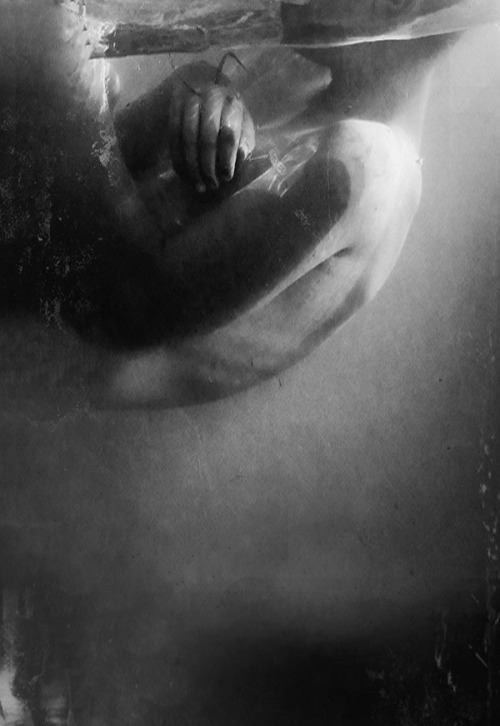 Archillect ID 33071