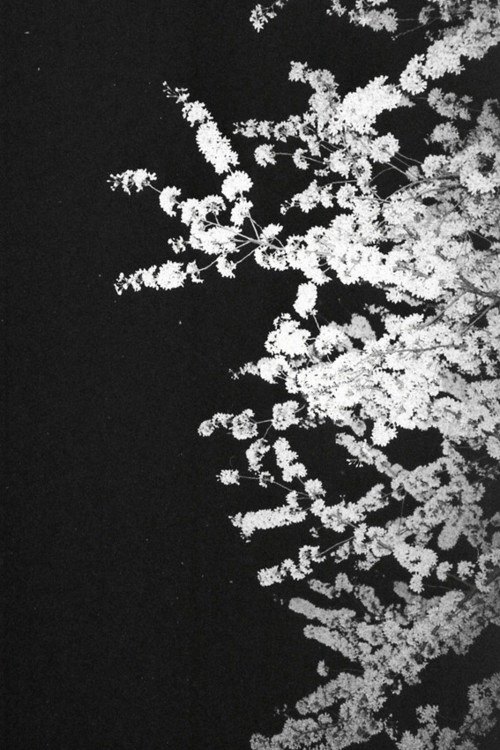 Archillect ID 33105