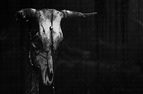 Archillect ID 33116