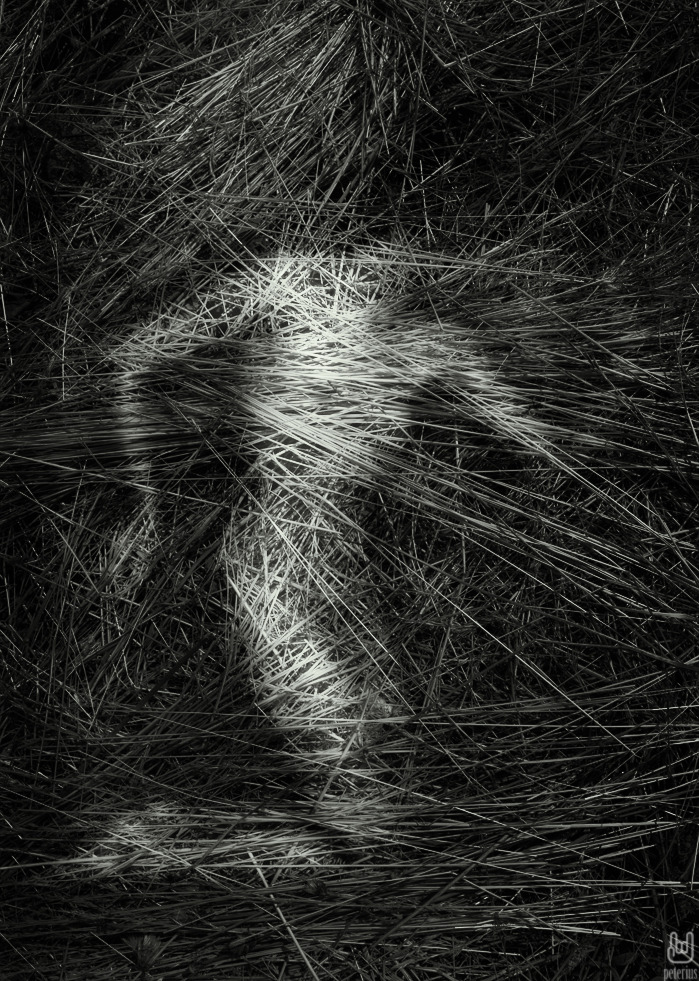 Archillect ID 33121
