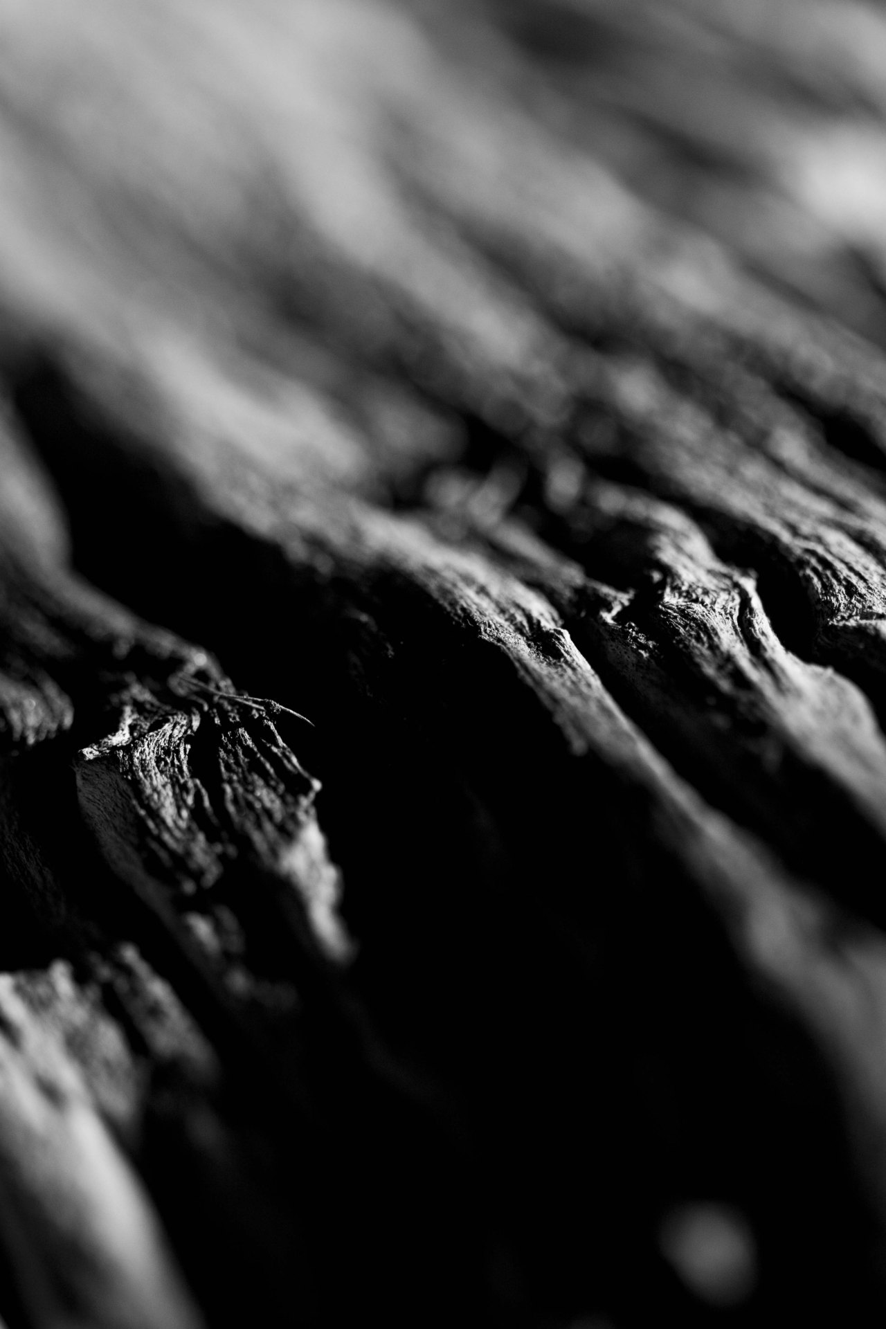 Archillect ID 33130