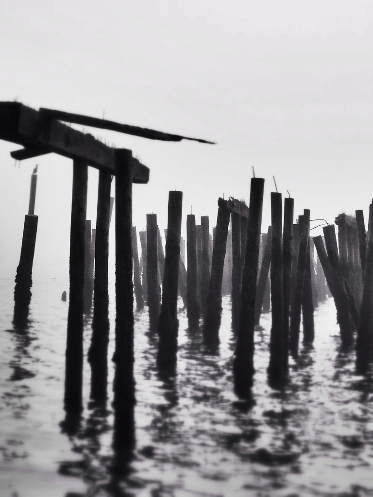 Archillect ID 33307