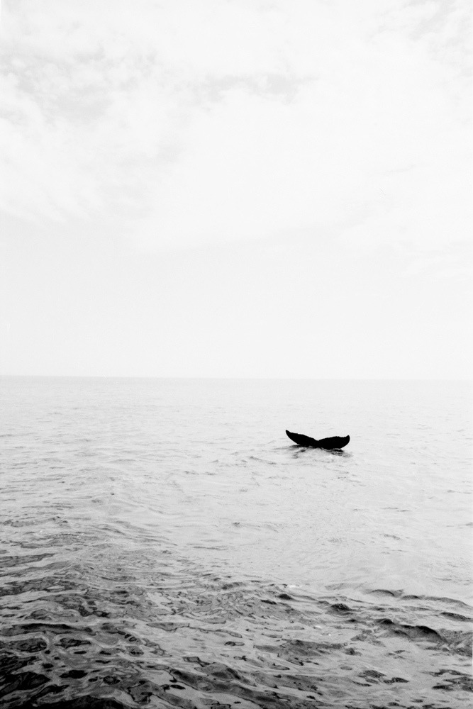Archillect ID 33328