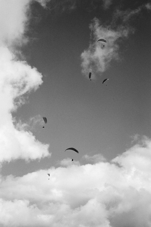 Archillect ID 33350