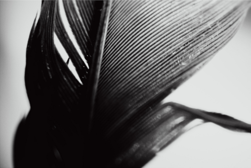 Archillect ID 33355