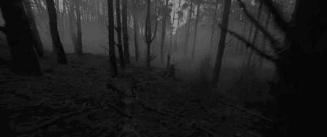 Archillect ID 33361