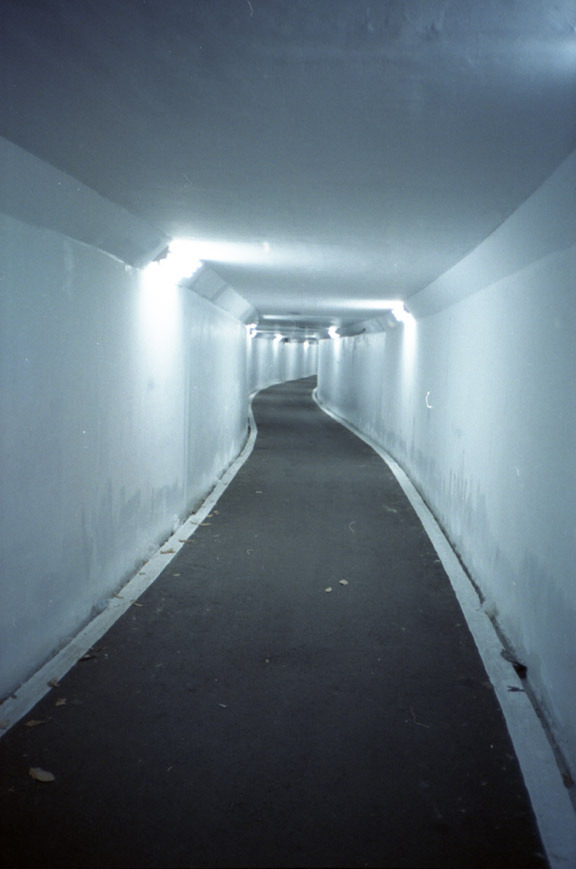 Archillect ID 33395