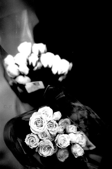 Archillect ID 33443