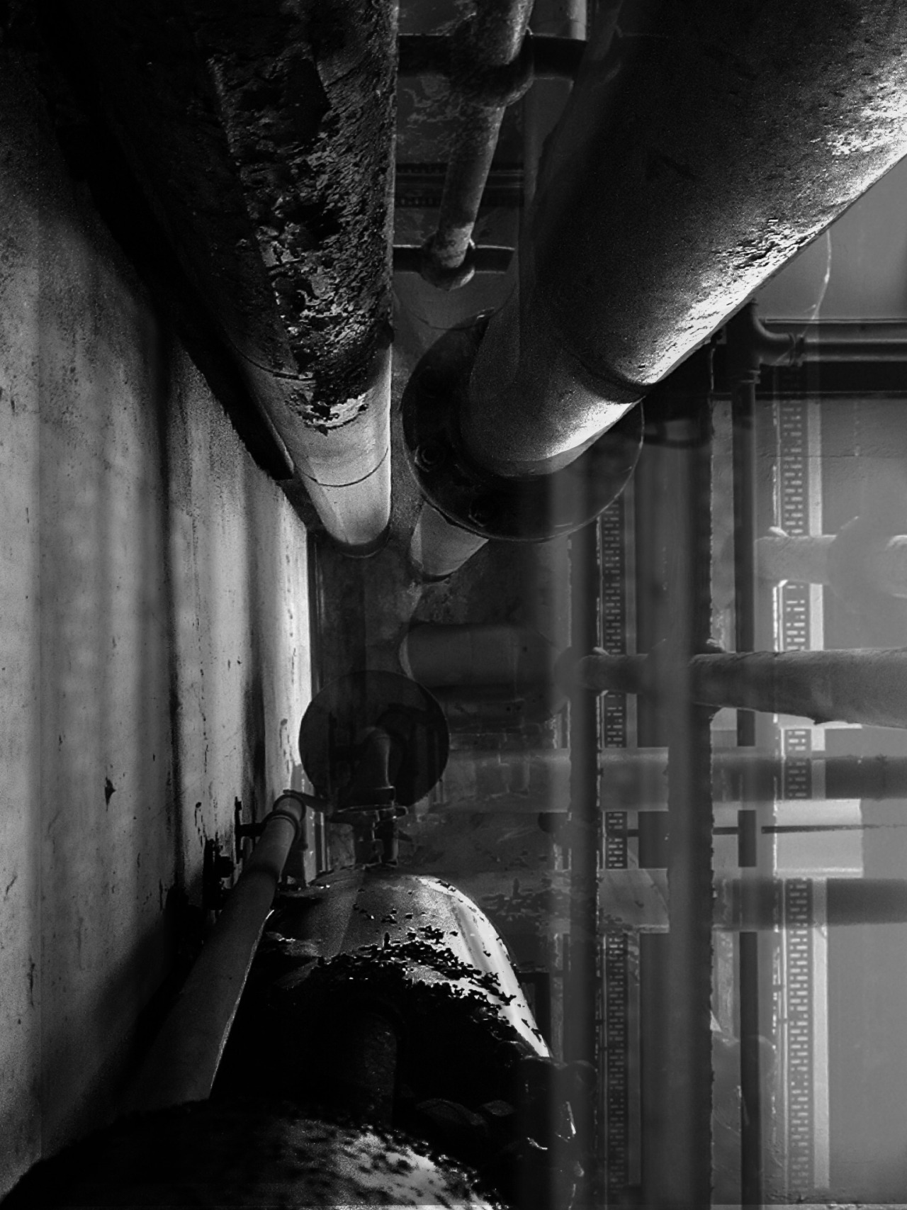 Archillect ID 33557