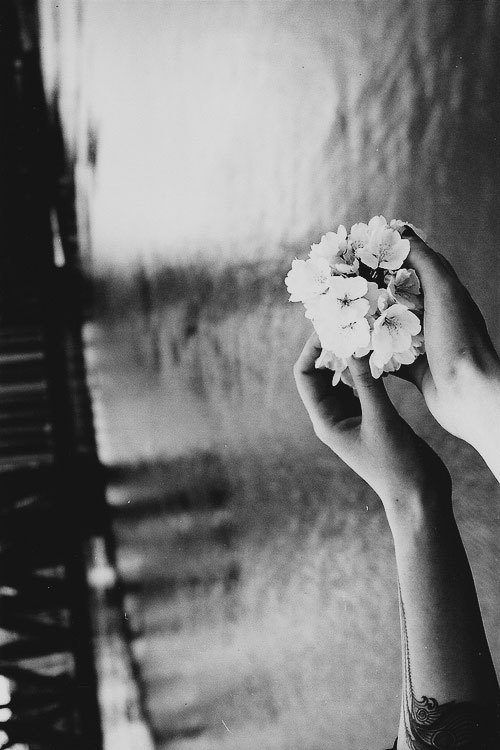 Archillect ID 33583