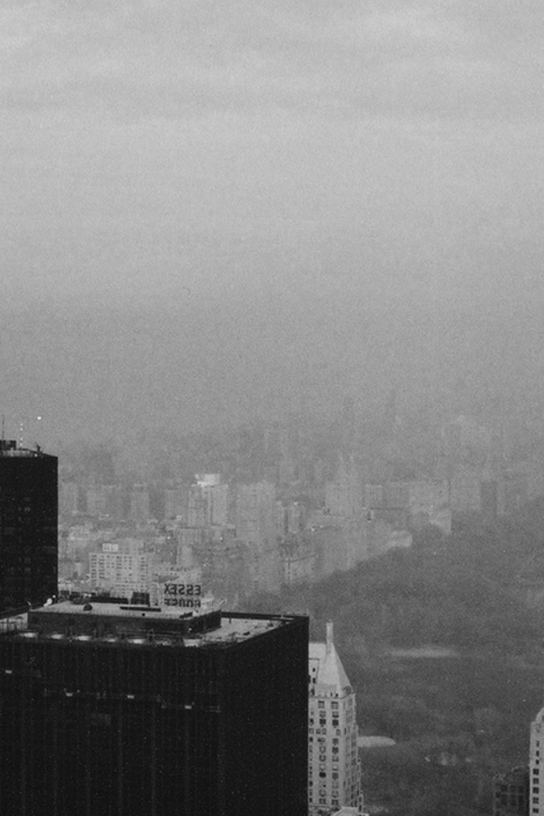 Archillect ID 33653