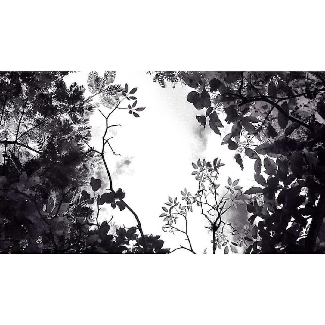 Archillect ID 33763