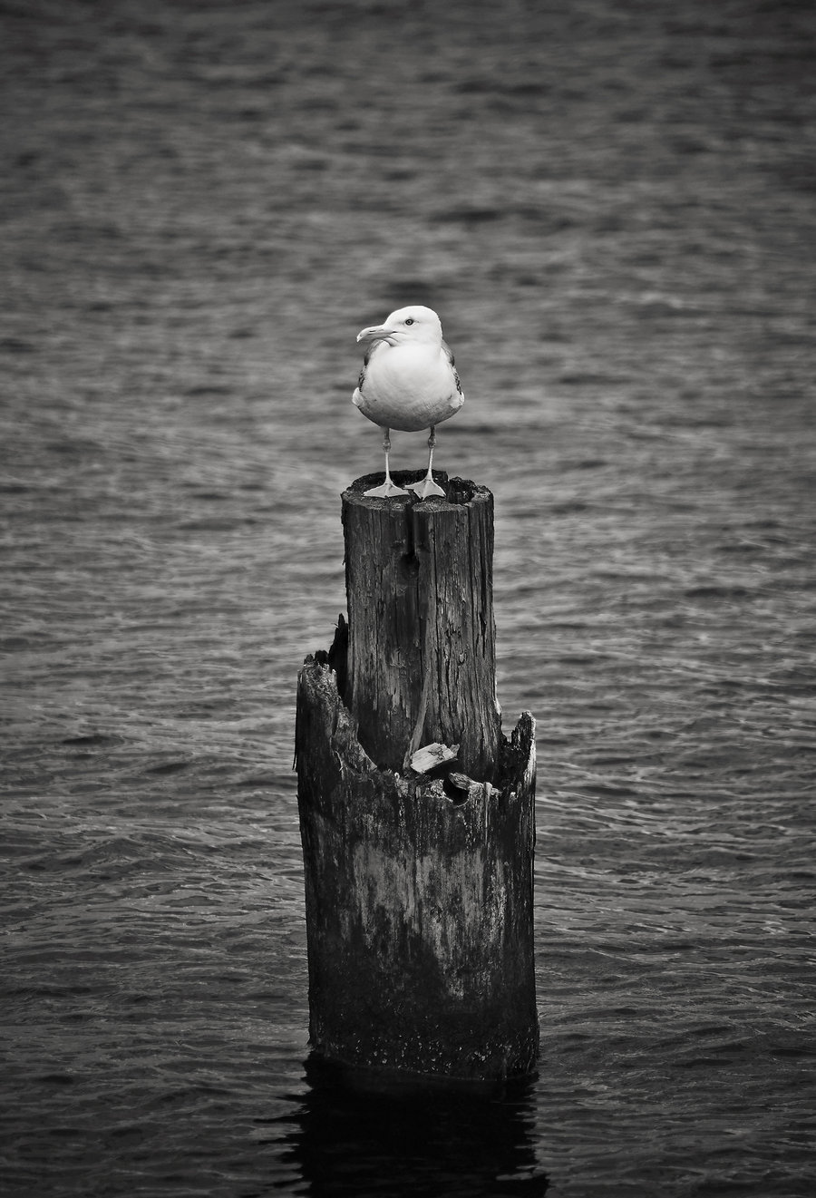 Archillect ID 33815