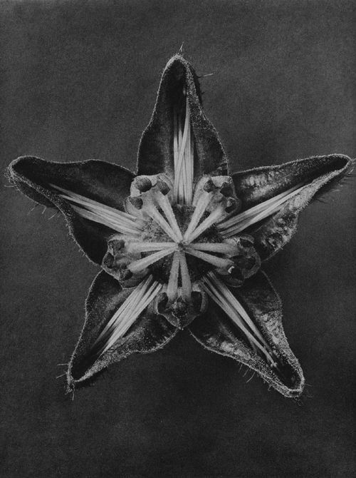 Archillect ID 33847