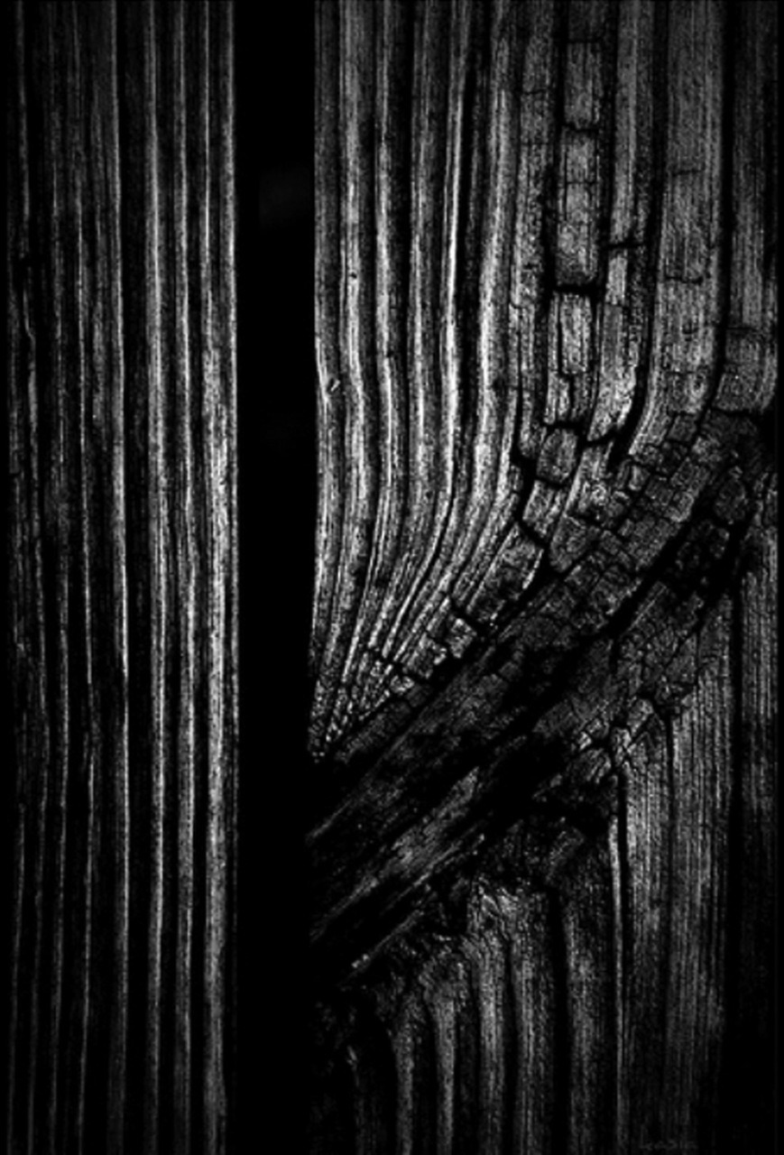 Archillect ID 33895