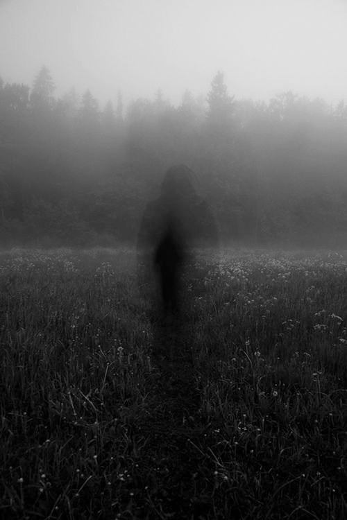 Archillect ID 33972
