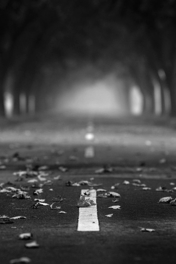 Archillect ID 34010