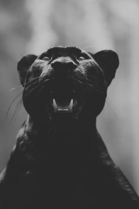 Archillect ID 34049