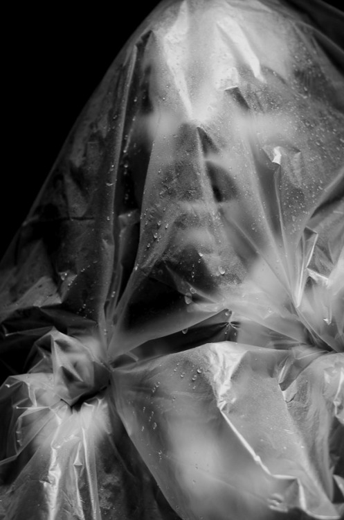 Archillect ID 34077
