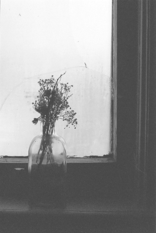Archillect ID 34099