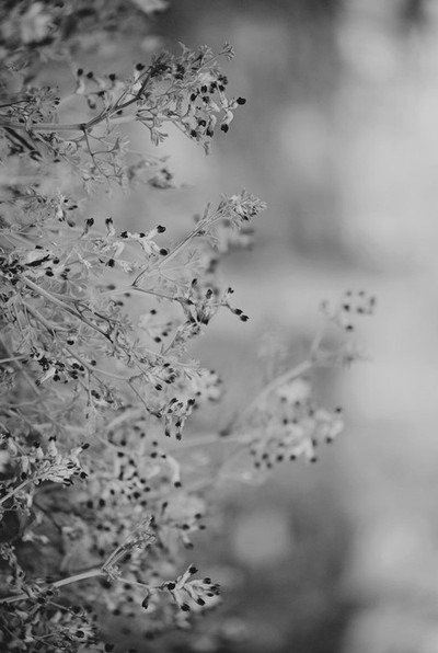 Archillect ID 34161